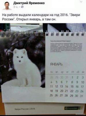 Прикрепленное изображение: 12552943_1067357043288017_8265760048777020994_n.jpg